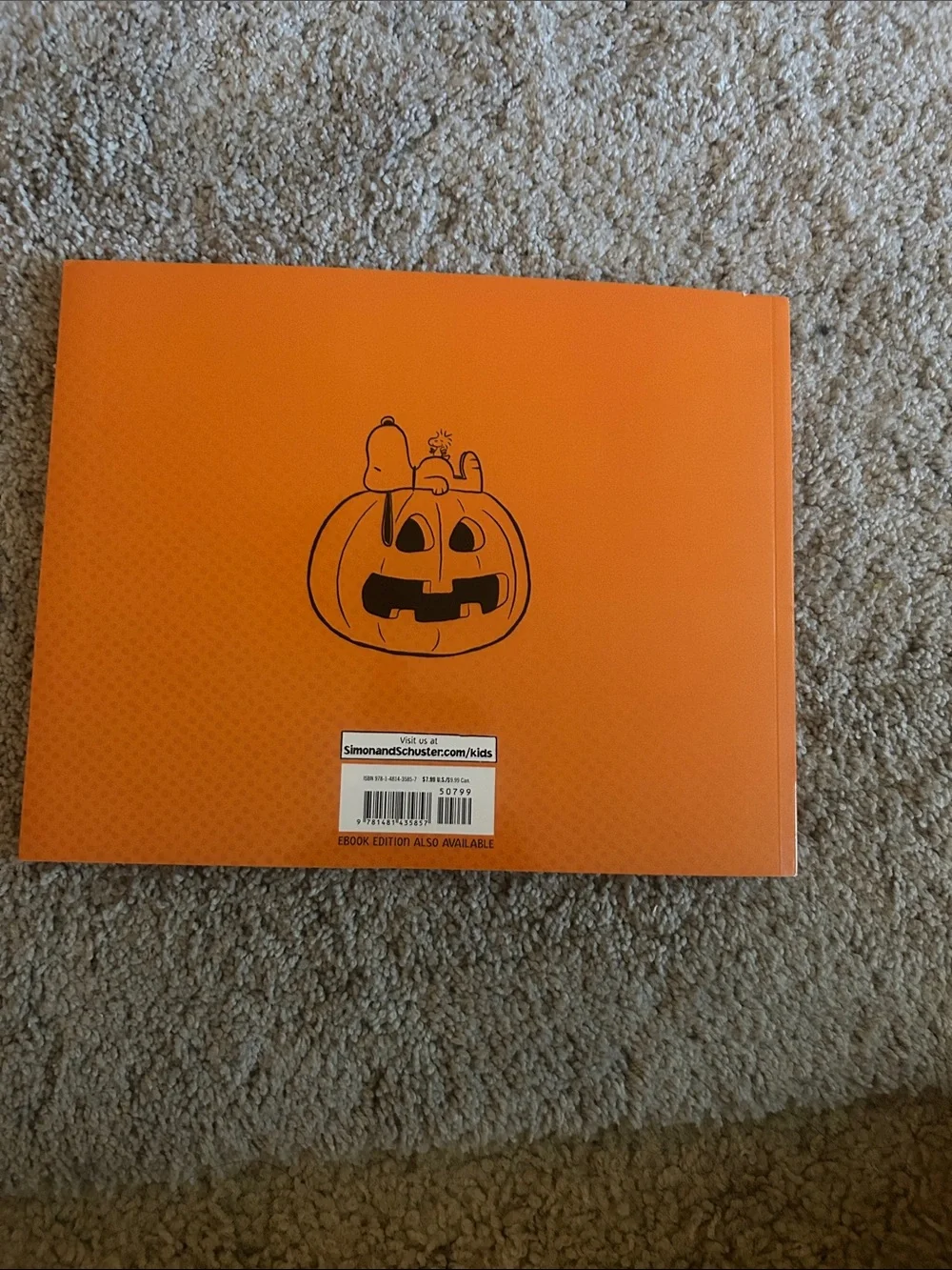 Peanuts Kids Pumpkin Patch Costume Panel - Blue & Orange